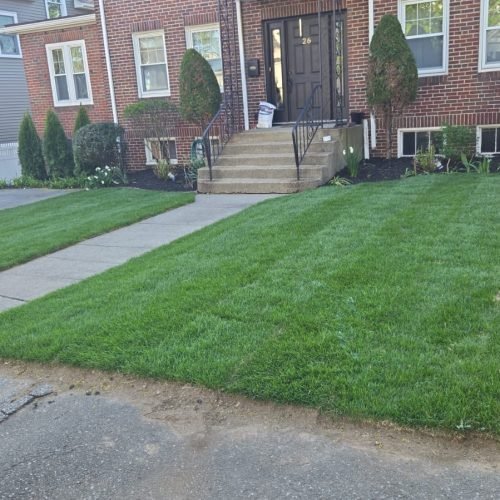 Rudy Landscaping LLC (19)