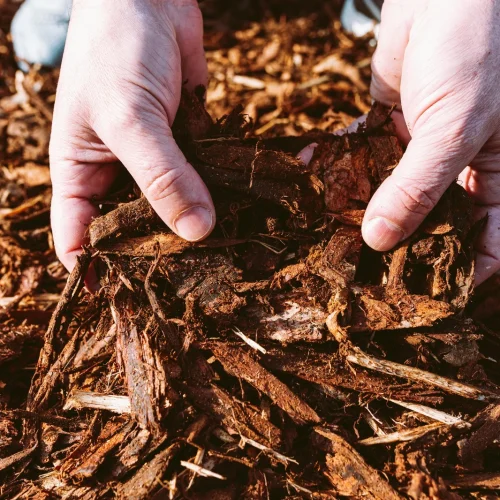 mulch