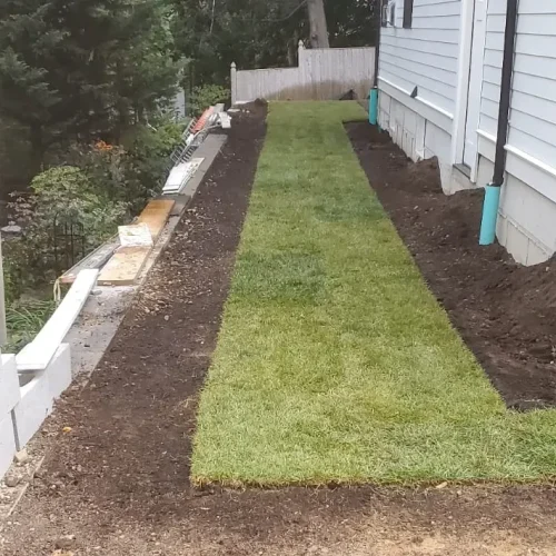 sod installation